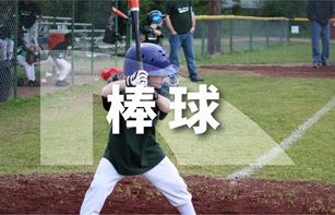 棒球项目介绍