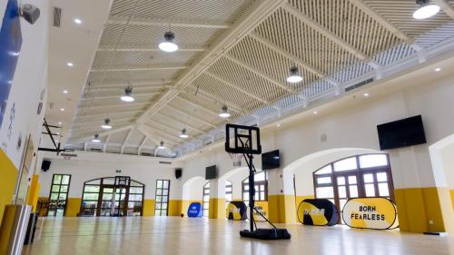4 basketball (7)
